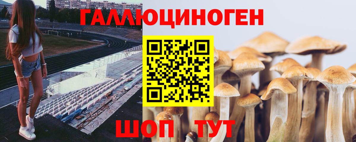 Галлюциногенные грибы MAGIC MUSHROOMS Калининград