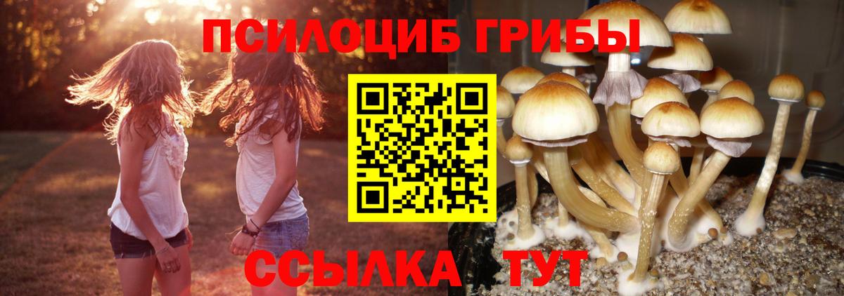 Калининград  Псилоцибиновые грибы Psilocybe  закладка  Вход с VPN 